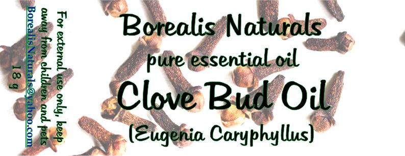 Essential Oil - Clove Bud
