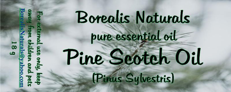 Essential Oil - Pine Scotch
