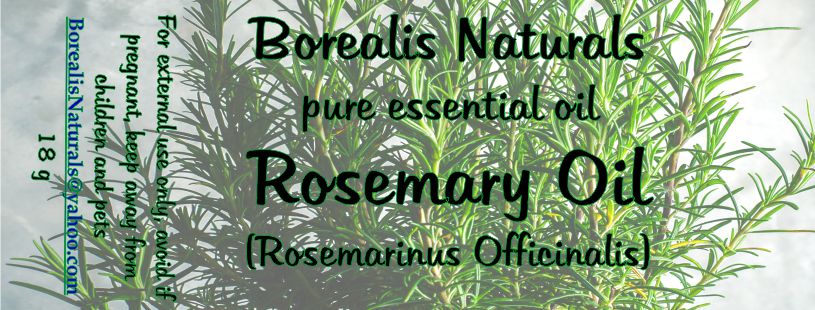 Essential Oil - Rosemary